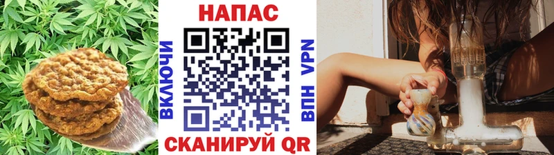 ОМГ ОМГ зеркало  Кубинка  Cannafood конопля 