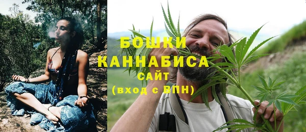 сатива Армянск
